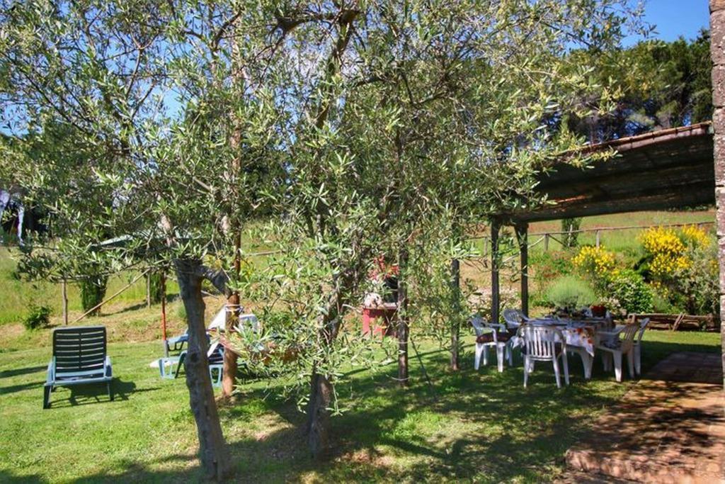Agriturismo Bellavista Radicondoli Екстер'єр фото